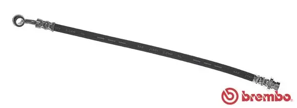 Brake Hose (T 24 124)