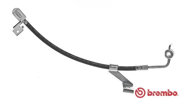 Brake Hose (T 24 076)