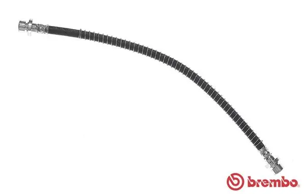 Brake Hose (T 44 024)
