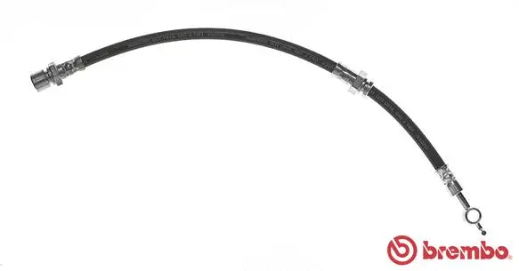 Brake Hose (T 10 008)