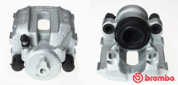 Brake Caliper (F 06 178)