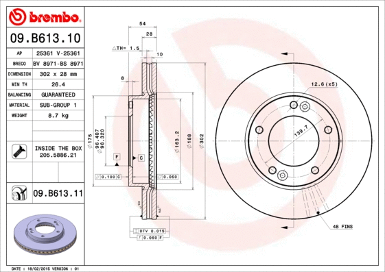 Brake Disc (09.B613.10)