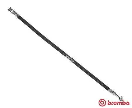 Brake Hose (T 79 029)