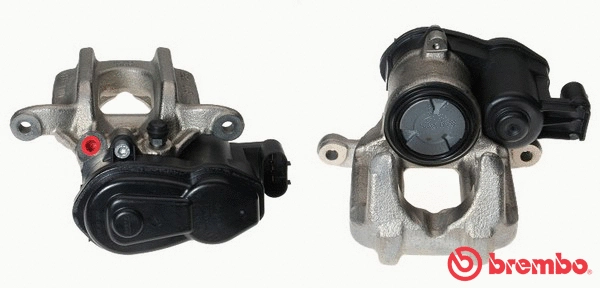 Brake Caliper (F 06 248)