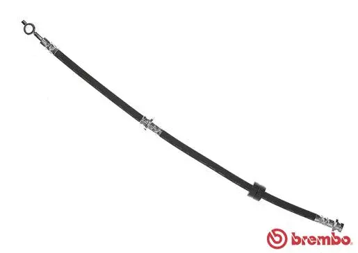 Brake Hose (T 56 137)
