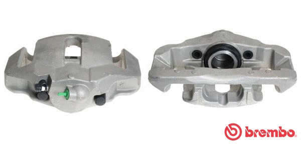 Brake Caliper (F 06 199)