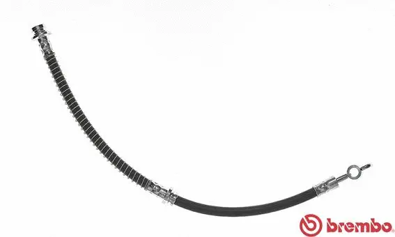 Brake Hose (T 54 011)