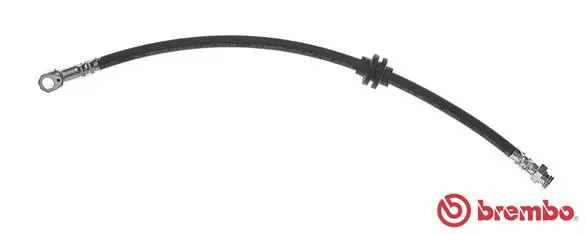 Brake Hose (T 23 172)