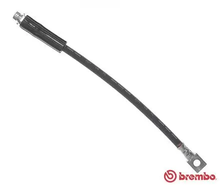 Brake Hose (T 24 022)