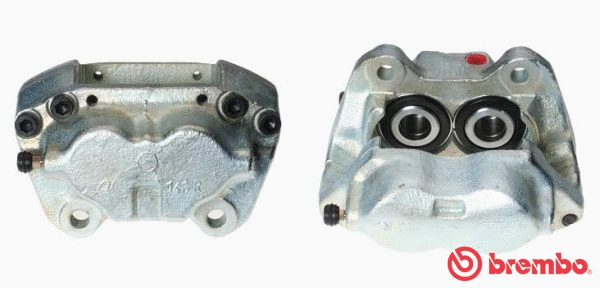 Brake Caliper (F 06 024)