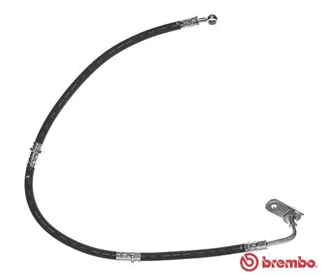 Brake Hose (T 79 033)