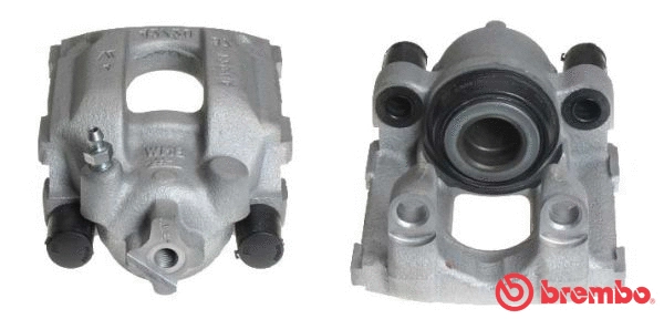Brake Caliper (F 06 221)