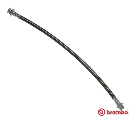 Brake Hose (T 56 183)