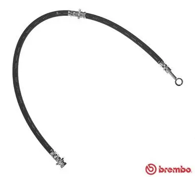 Brake Hose (T 56 138)