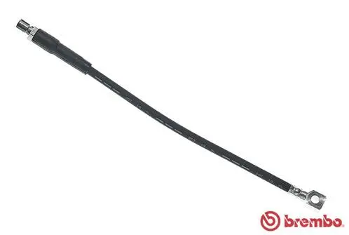 Brake Hose (T 59 035)