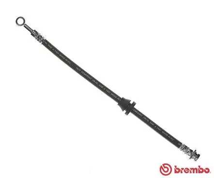 Brake Hose (T 10 003)