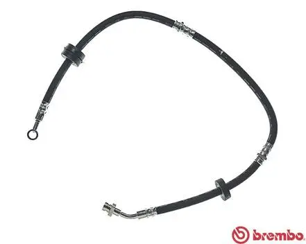 Brake Hose (T 79 009)