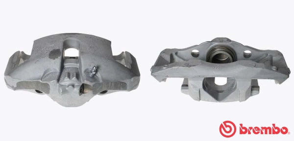 Brake Caliper (F 06 206)