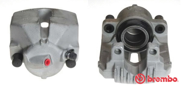 Brake Caliper (F 06 174)
