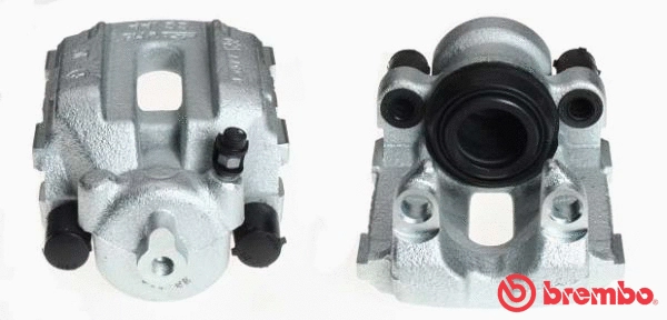 Brake Caliper (F 06 179)