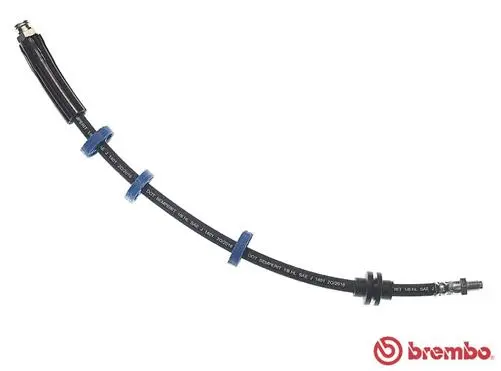 Brake Hose (T 23 203)