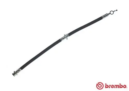 Brake Hose (T 59 010)