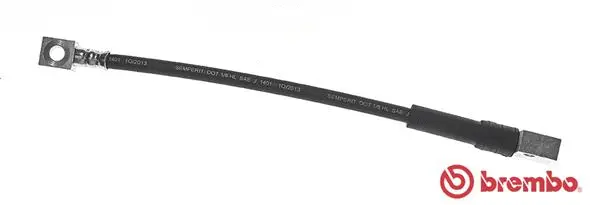 Brake Hose (T 59 053)