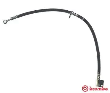 Brake Hose (T 28 104)