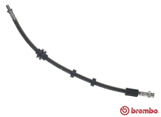 Brake Hose (T 23 208)