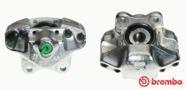 Brake Caliper (F 06 013)
