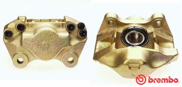 Brake Caliper (F 85 012)