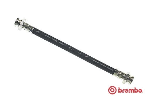 Brake Hose (T 54 003)
