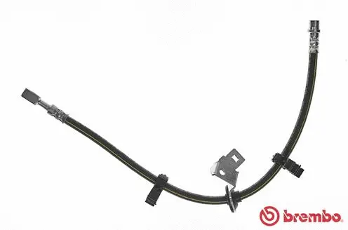 Brake Hose (T 50 053)