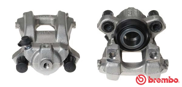 Brake Caliper (F 06 236)