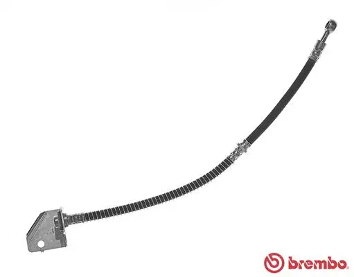 Brake Hose (T 24 122)
