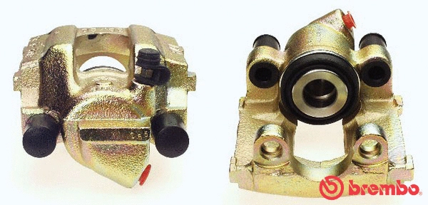 Brake Caliper (F 06 056)