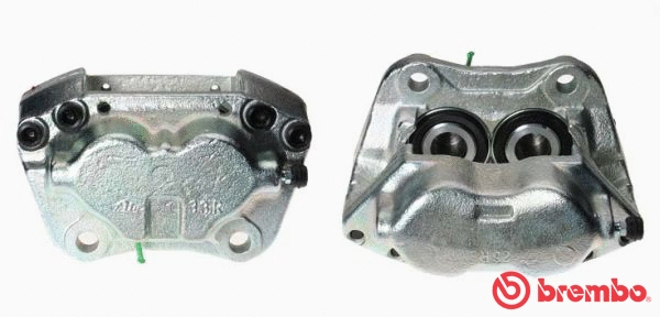 Brake Caliper (F 06 043)