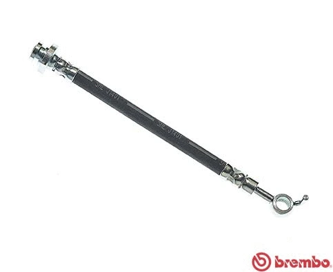 Brake Hose (T 56 164)
