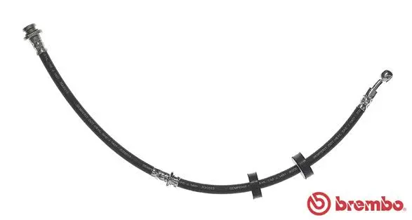 Brake Hose (T 79 017)