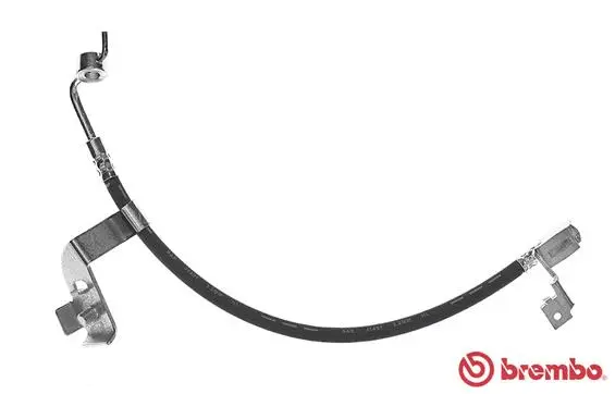 Brake Hose (T 24 081)
