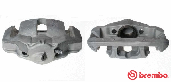 Brake Caliper (F 06 176)