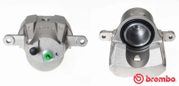 Brake Caliper (F 83 266)