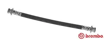 Brake Hose (T 10 002)