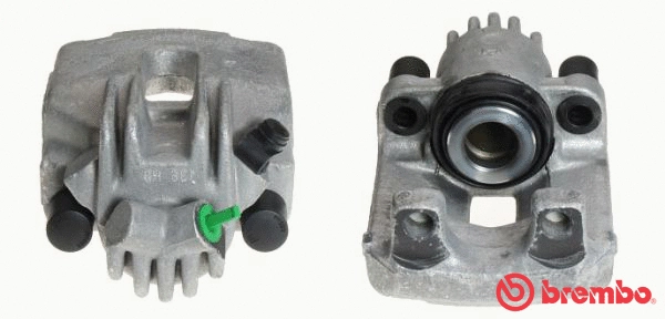Brake Caliper (F 06 118)