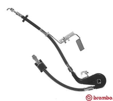 Brake Hose (T 61 114)