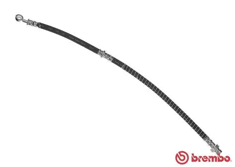 Brake Hose (T 30 091)