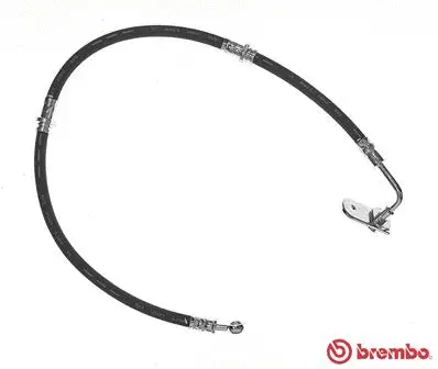 Brake Hose (T 79 032)
