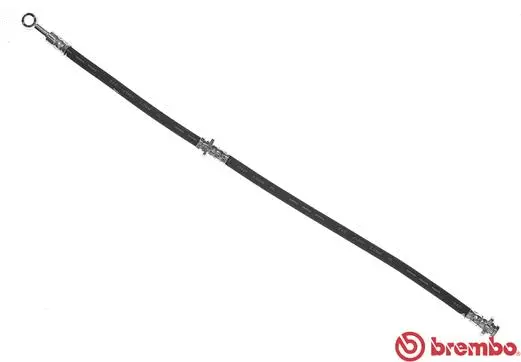 Brake Hose (T 56 134)