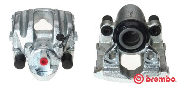 Brake Caliper (F 06 211)