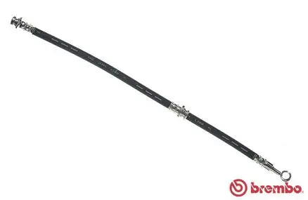 Brake Hose (T 59 029)